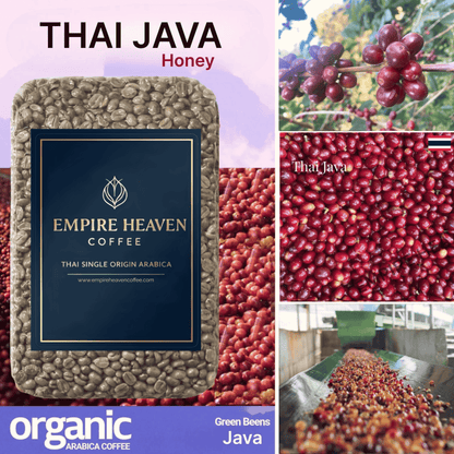 Thai Java Green Coffee / Nan