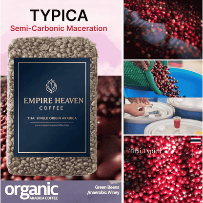 Thai Typica Green Coffee / Nan