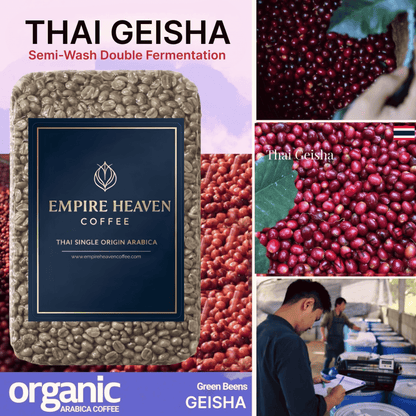 Thai Geisha Green Coffee / Nan
