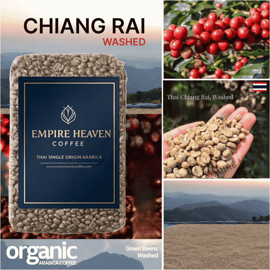 Washed Process Green Coffee /Doi Chang